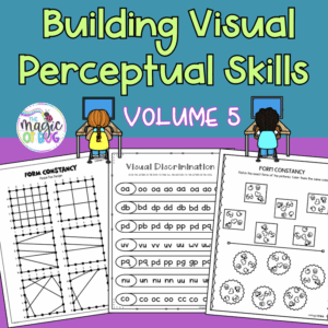 Building Visual Perceptual Skills